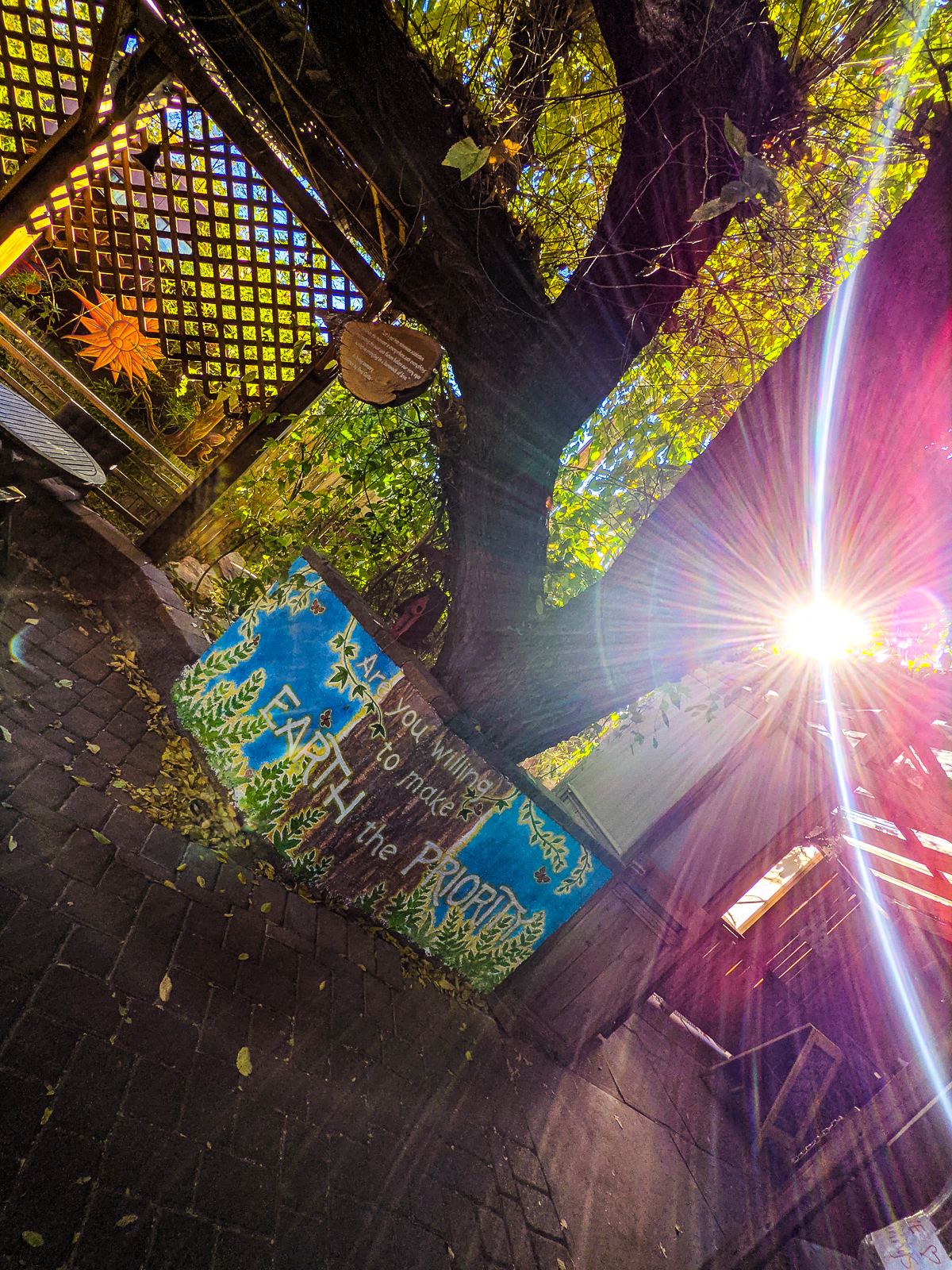 PXL 20201124 221708870