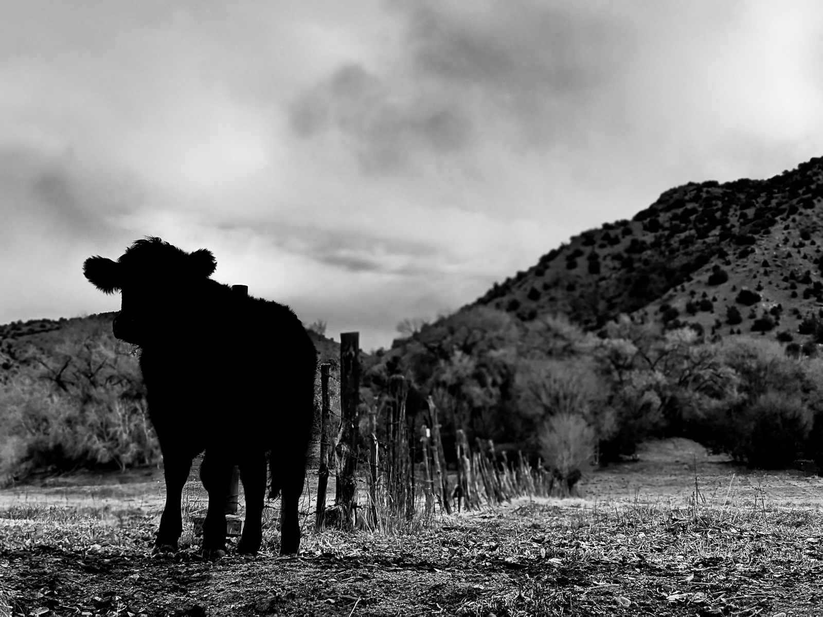 PXL 20201127 164953640.PORTRAIT