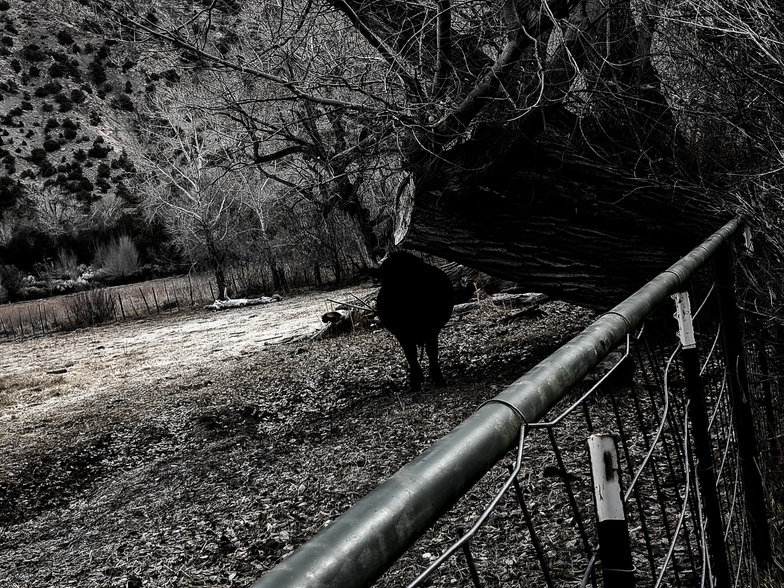 PXL 20201127 165024287