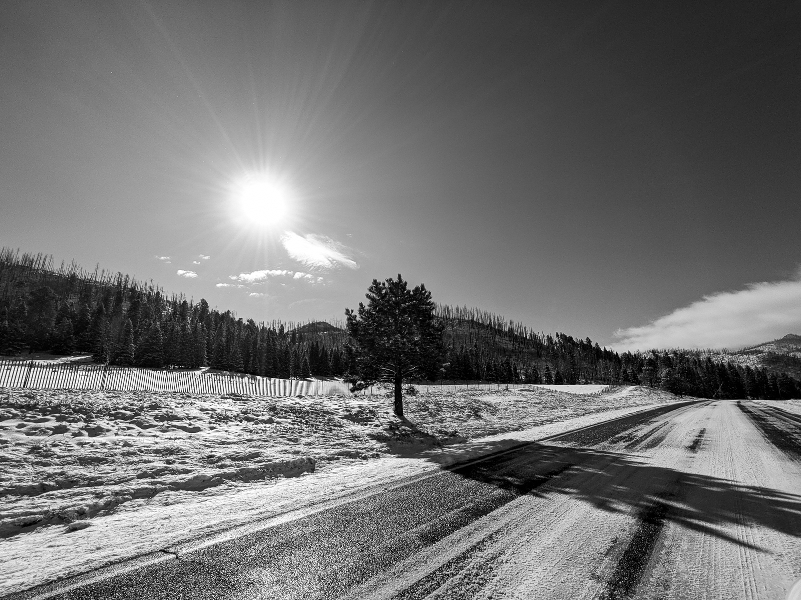 PXL 20201128 171535382