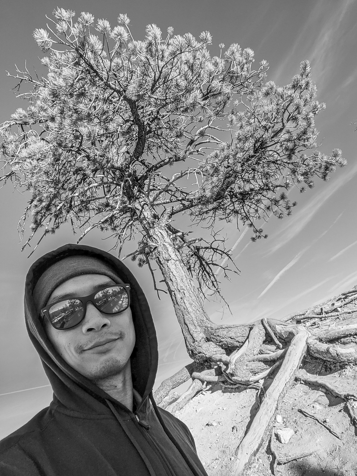 PXL 20201129 223218177