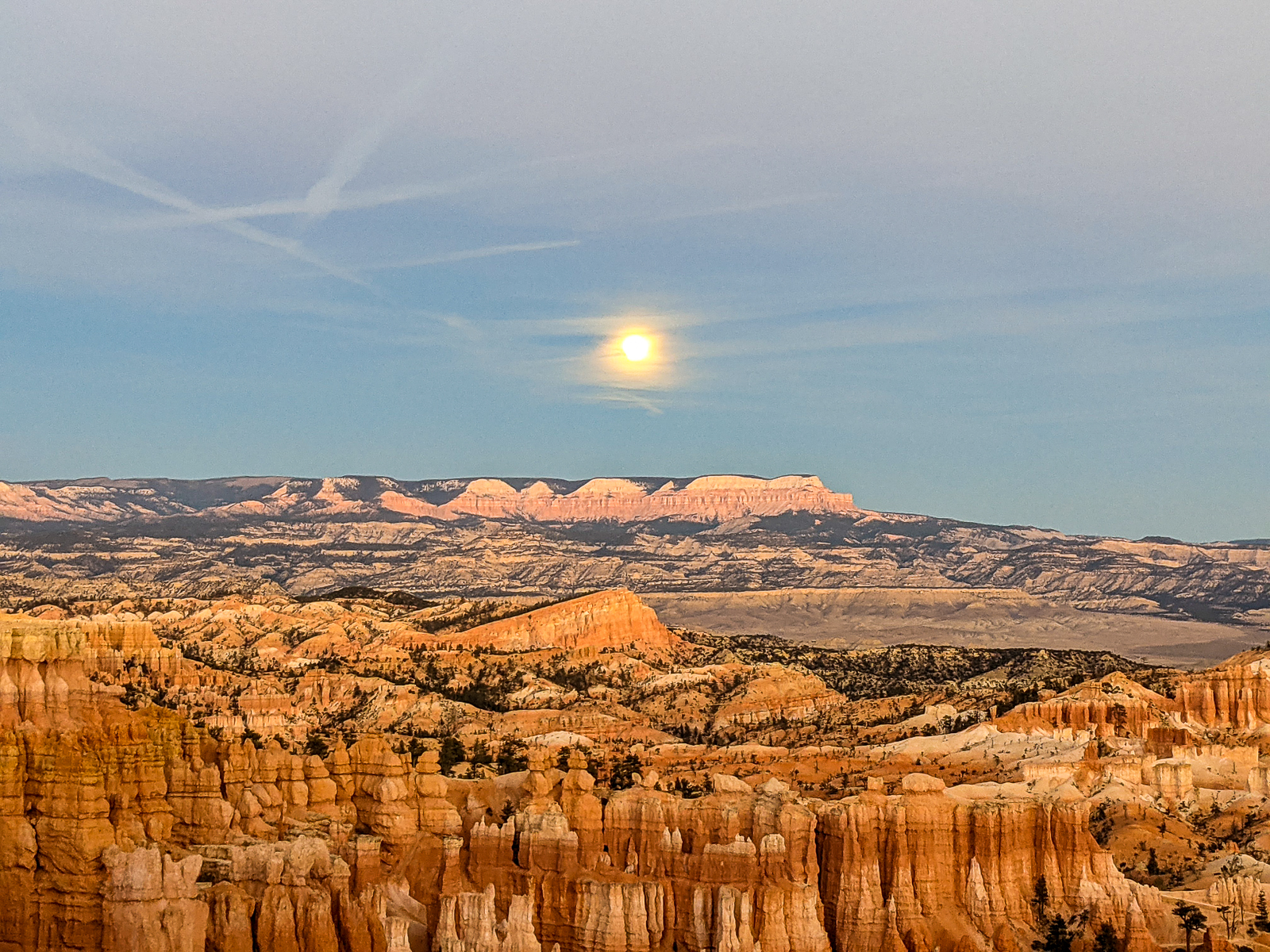 PXL 20201130 002557554