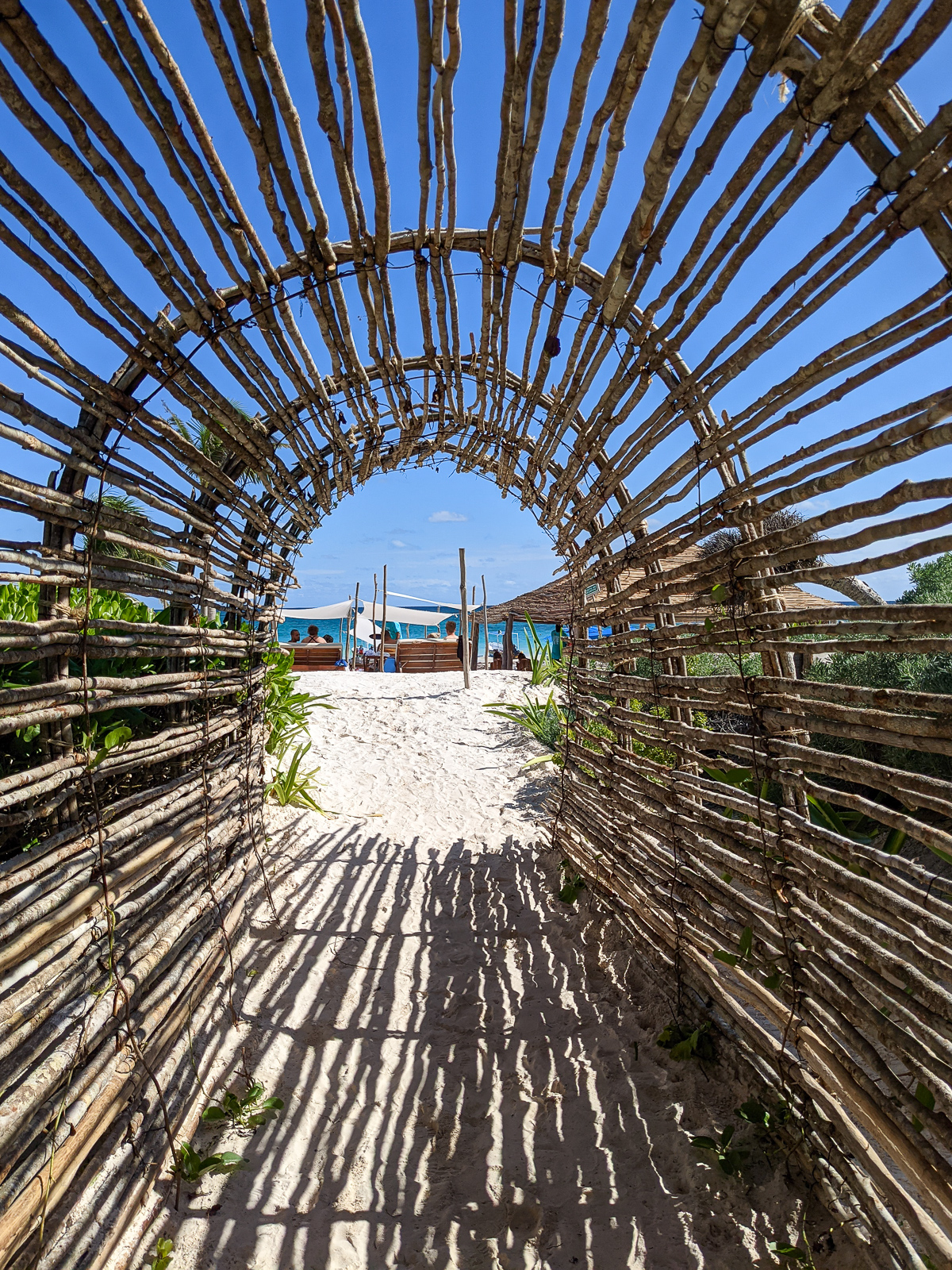 PXL 20201226 190241896